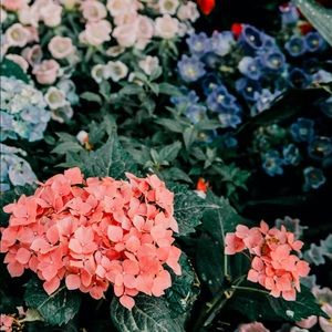 Meet your Posher, Breanna